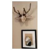 M - DIMENSIONAL ART FRAMED & DECORATIVE DEER HEAD