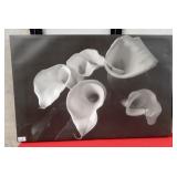 289 - EXOTIC TULIP BLACK & WHITE PICTURE