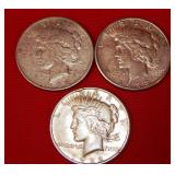 51 - TRIO OF SILVER PEACE DOLLARS