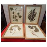43 - QUAD OF NEW WMC FRAMED BOTANICAL ART