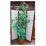 11 - NEVER DIE TREE PLANTED IN BASKET