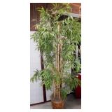 11 - NEVER DIE TREE PLANTED IN BASKET