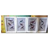43 - SET OF SHABBY CHIC FRAMED BIRD WALLART