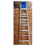 11 - WERNER TALL TREE LADDER