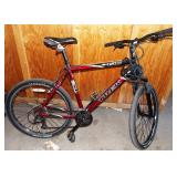 323 - TREK MULTISPEED MEN