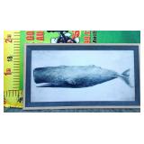 43 - NEW WMC WOOD FRAMED WHALE WALL ART