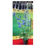 43 - NEW WMC FAUX HIBICUS READY TO BE POTTED