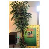 900 - TALL LIVE FOREVER TREE