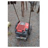 Portable electric generator, coleman