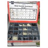 Body fastener assortment and case.