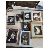 Shadow Boxes w/Shells