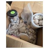 Box of  Shells