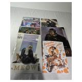 Variance & Graphic Novels