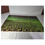 Mint Pink Floyd DSotM 1973  Poster 20x30'