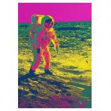 Apollo 11 Buzz Aldrin Moon Walk LTD EDT by Pop Ave