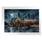 Harry Potterï¿½ Hogwartsï¿½ Castle - Limited Edition