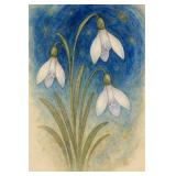 Snowdrop Serenity II LTD EDT by Studio Van Gogh