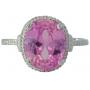 Saturday Showcase! August 15th Jewelry, Coins & More!
