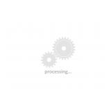 1916-1930 Standing Liberty Silver Quarter