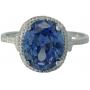 Tuesday October 27th Jewelry, Coins, Handbags & Collectibles