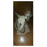 Animal skull and fake rattlesnake