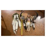 Decorative Skull and Dream Catcher