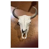 Skull, likely from a bull or bison