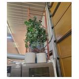 2 approximately 5 ft fake plants