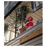 Two fake plants and a Santa Claus