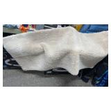 $30 , 24 x 52 inch rug