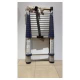 telescoping extension ladder