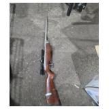 Pellet or BB gun with scope