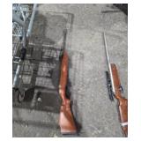 Pellet or BB gun