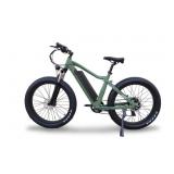 NEW Green EBIKE 500w rear hub motor 16Ah 48v Sams