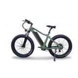 NEW Green EBIKE 500w rear hub motor 16Ah 48v Sams