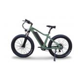 NEW Green EBIKE 500w rear hub motor 16Ah 48v Sams