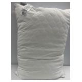 $65 2 Beauty rest pillows