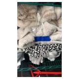 Miscellaneous blankets used needs to be cleaned
