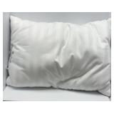 $60 2 Beauty Rest pillows