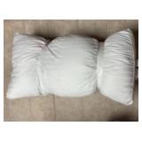 $60 King size pillows - stained