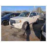 2010 FORD ESCAPE