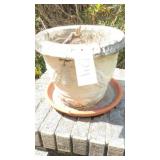 CONCRETE AS-IS SHELL GRAPE DESIGN FLOWER POT