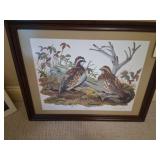BOB WHITES BY SANDRA GREENE PRINT