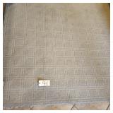 AREA RUG ----AS IS