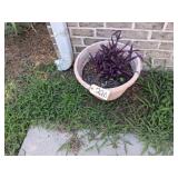 LARGE CERAMIC PLANTER