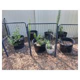 6 LARGE BLACK PLANTERS & 1 SMALL WHITE