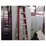 Werner 8" Fiberglass Ladder
