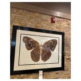 Signed Butterfly Art