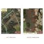 NC Land Auction: Indian Trail & Maxton Locations