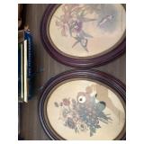 Framed Botanical and Ornithological Prints